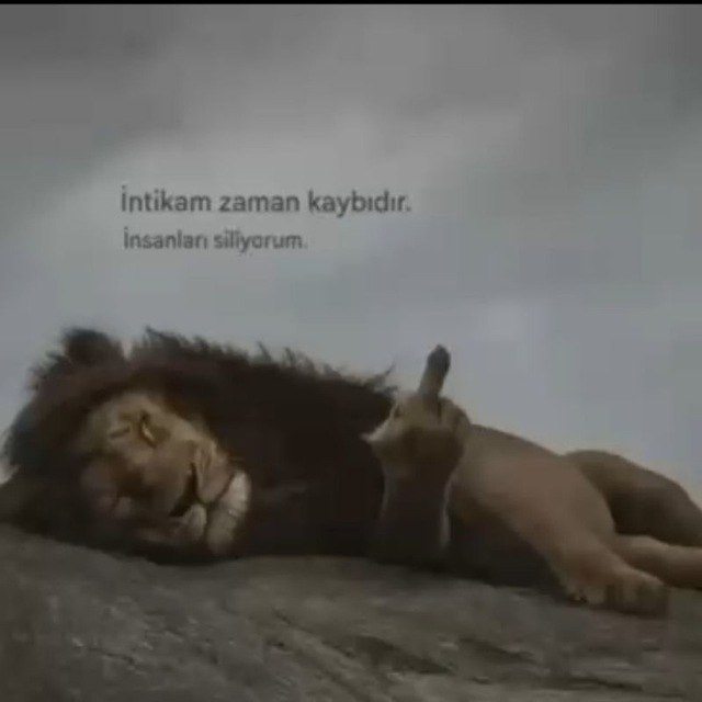İskele'deyim yerim yok otel eve geliyorum anal yok kondom şart sevgili tadinda bilgi için dm 🖼 [photo]